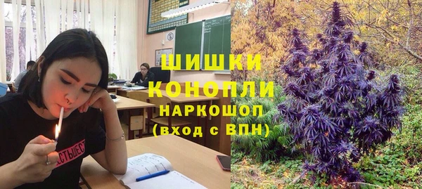 гашик Лабытнанги