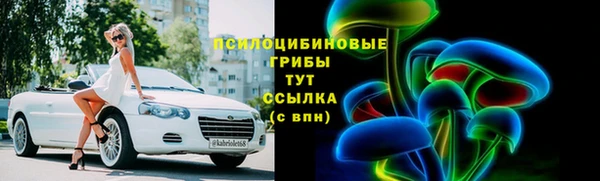 ECSTASY Лагань