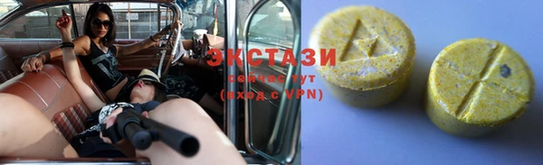 ECSTASY Лагань
