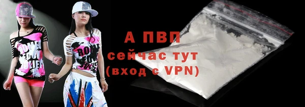 гашик Лабытнанги