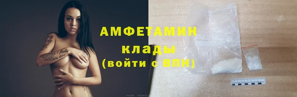 ECSTASY Лагань