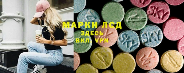 ECSTASY Лагань