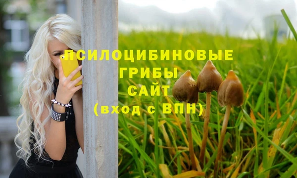 ECSTASY Лагань