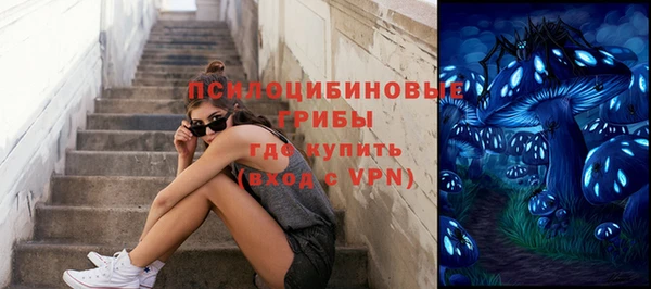 гидра Ладушкин