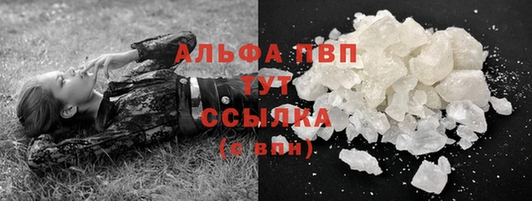 ECSTASY Лагань