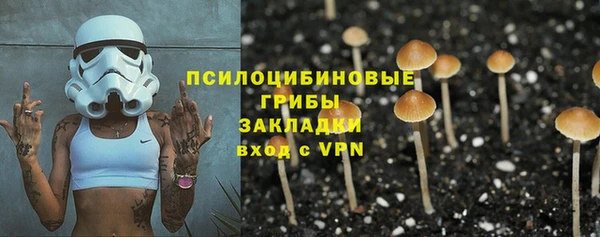 гидра Ладушкин