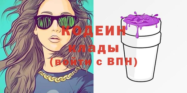 ECSTASY Лагань